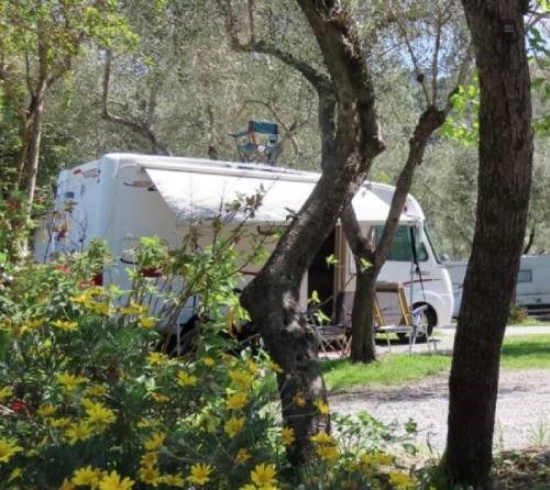 Scopri il Camping Acqua Dolce: Un’oasi di natura nelle Cinque Terre